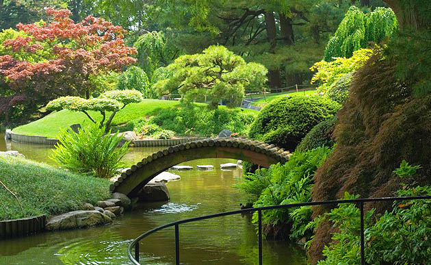 Mental health counseling calm environment